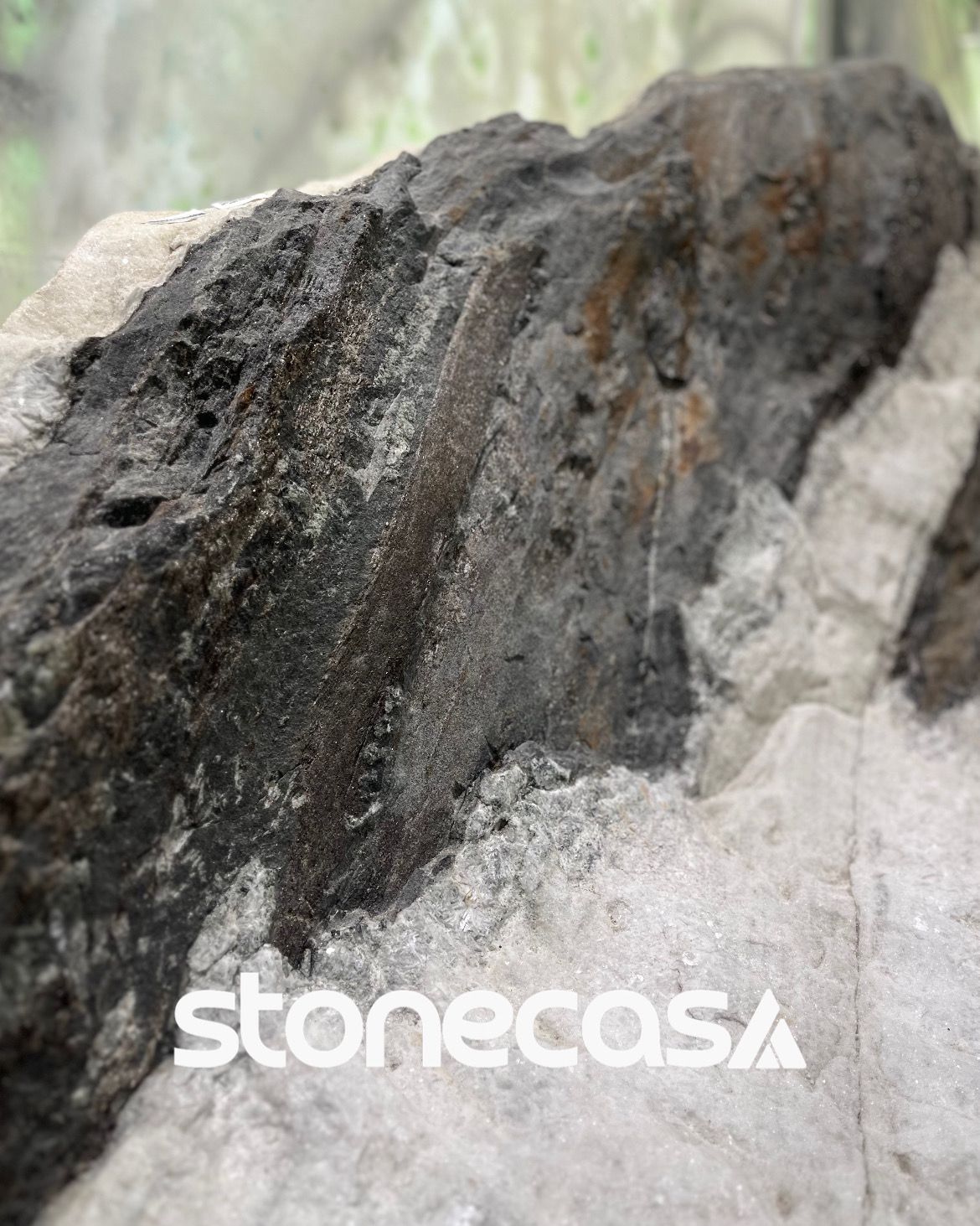 Neuroarquitetura e a Stone Casa